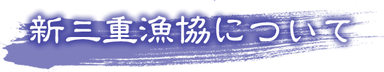 新三重漁協について