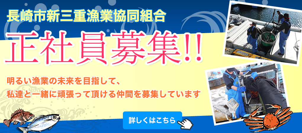 正社員募集